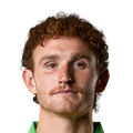 Josh Sargent